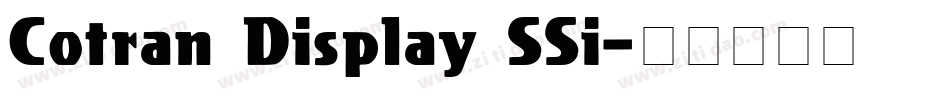 Cotran Display SSi字体转换